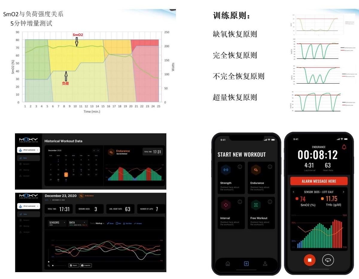 肌氧曲线分区示例