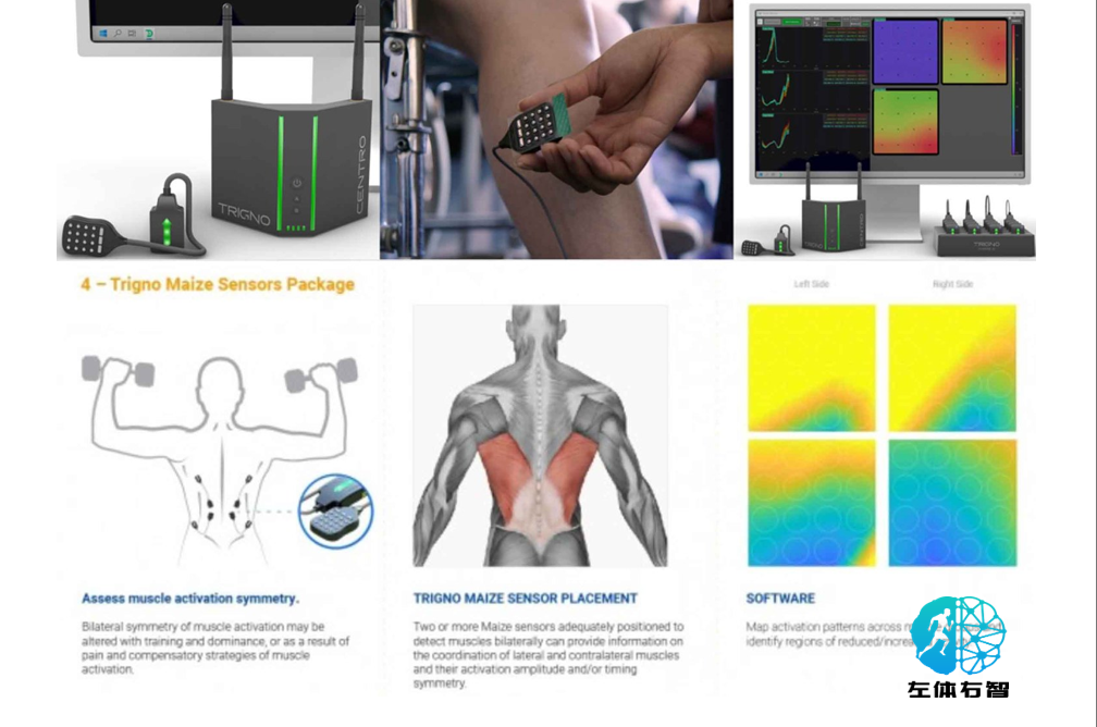 Trigno Maize高密度矩阵肌电传感器肌电激活空间地形图分析