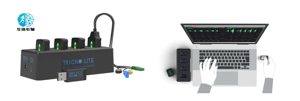 DELSYS Trigno Lite 无线表面肌电测试系统